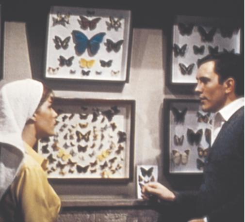 Still of Terence Stamp and Samantha Eggar in The Collector (1965)