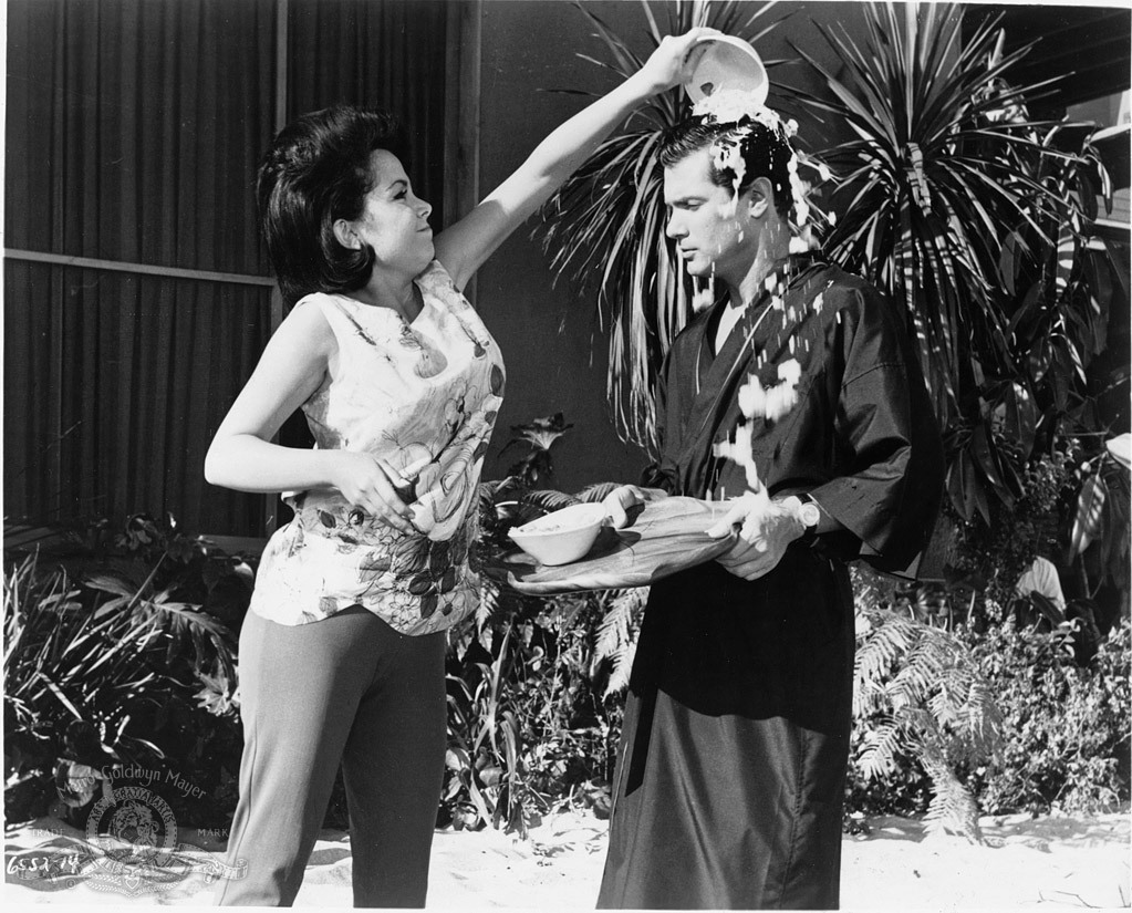 Still of Annette Funicello and Dwayne Hickman in How to Stuff a Wild Bikini (1965)