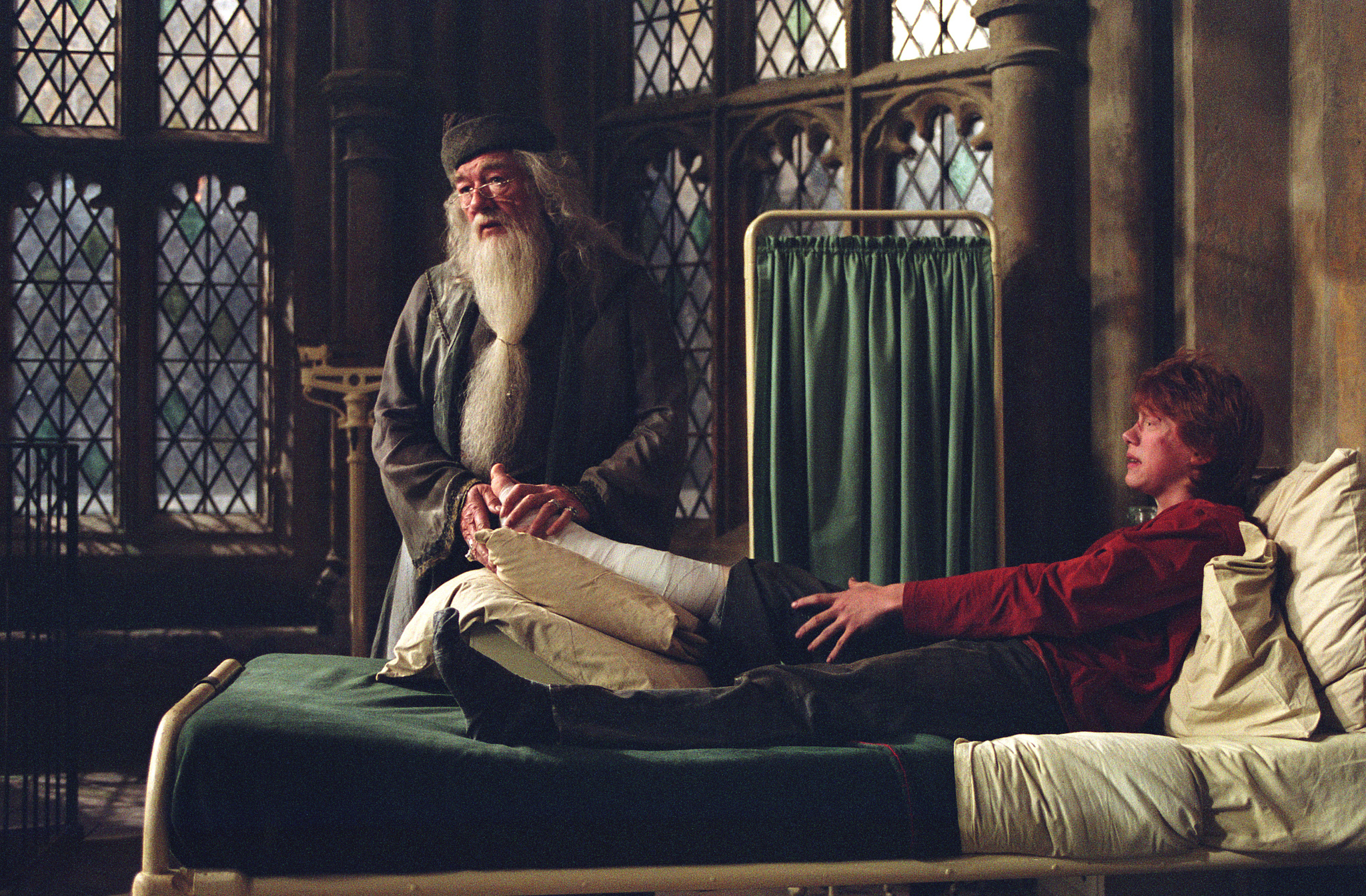Still of Michael Gambon and Rupert Grint in Haris Poteris ir Azkabano kalinys (2004)