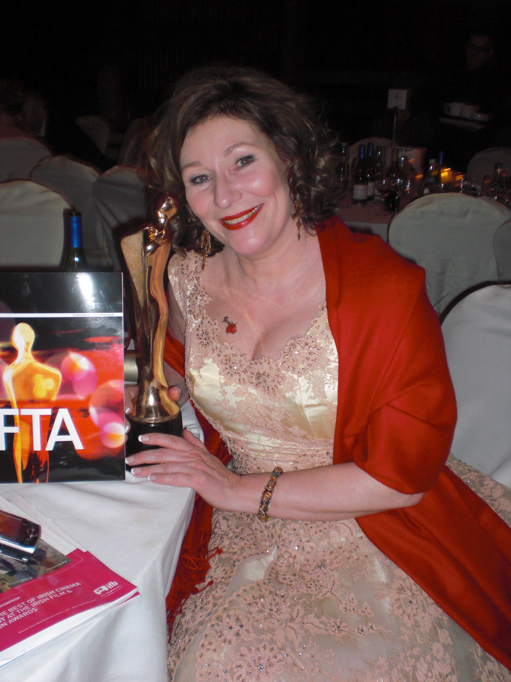 Irish Film and television Awards 2009