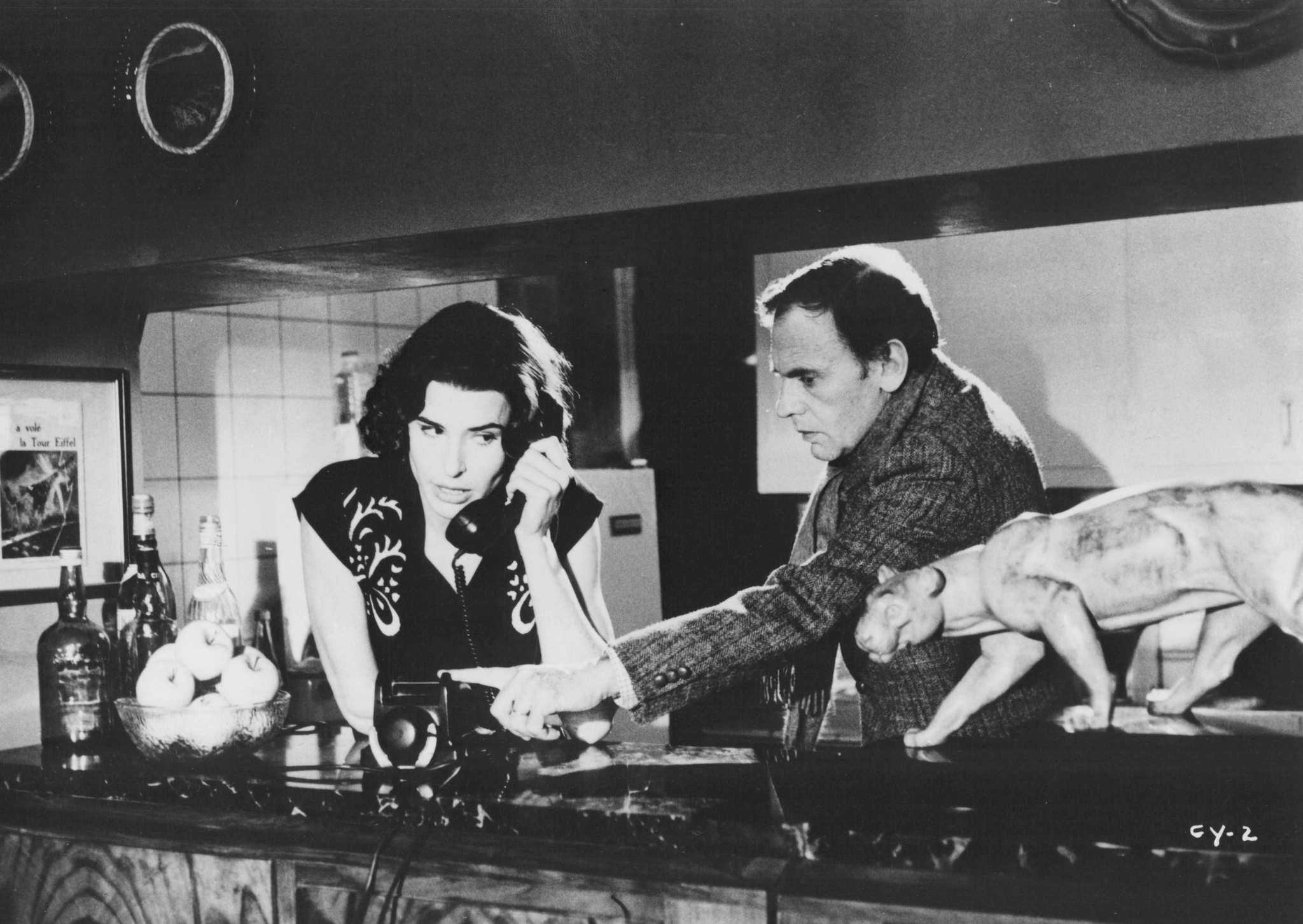 Still of Fanny Ardant and Jean-Louis Trintignant in Vivement dimanche! (1983)