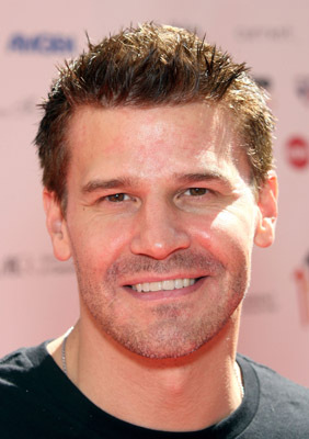 David Boreanaz