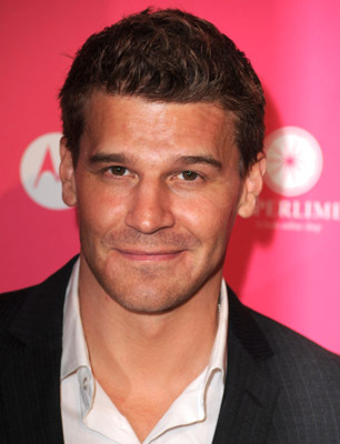 David Boreanaz