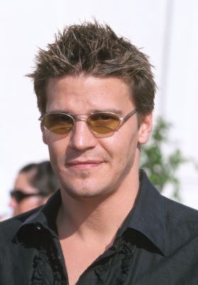 David Boreanaz