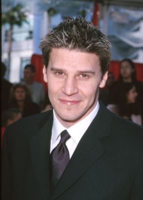 David Boreanaz