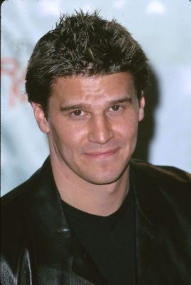 David Boreanaz