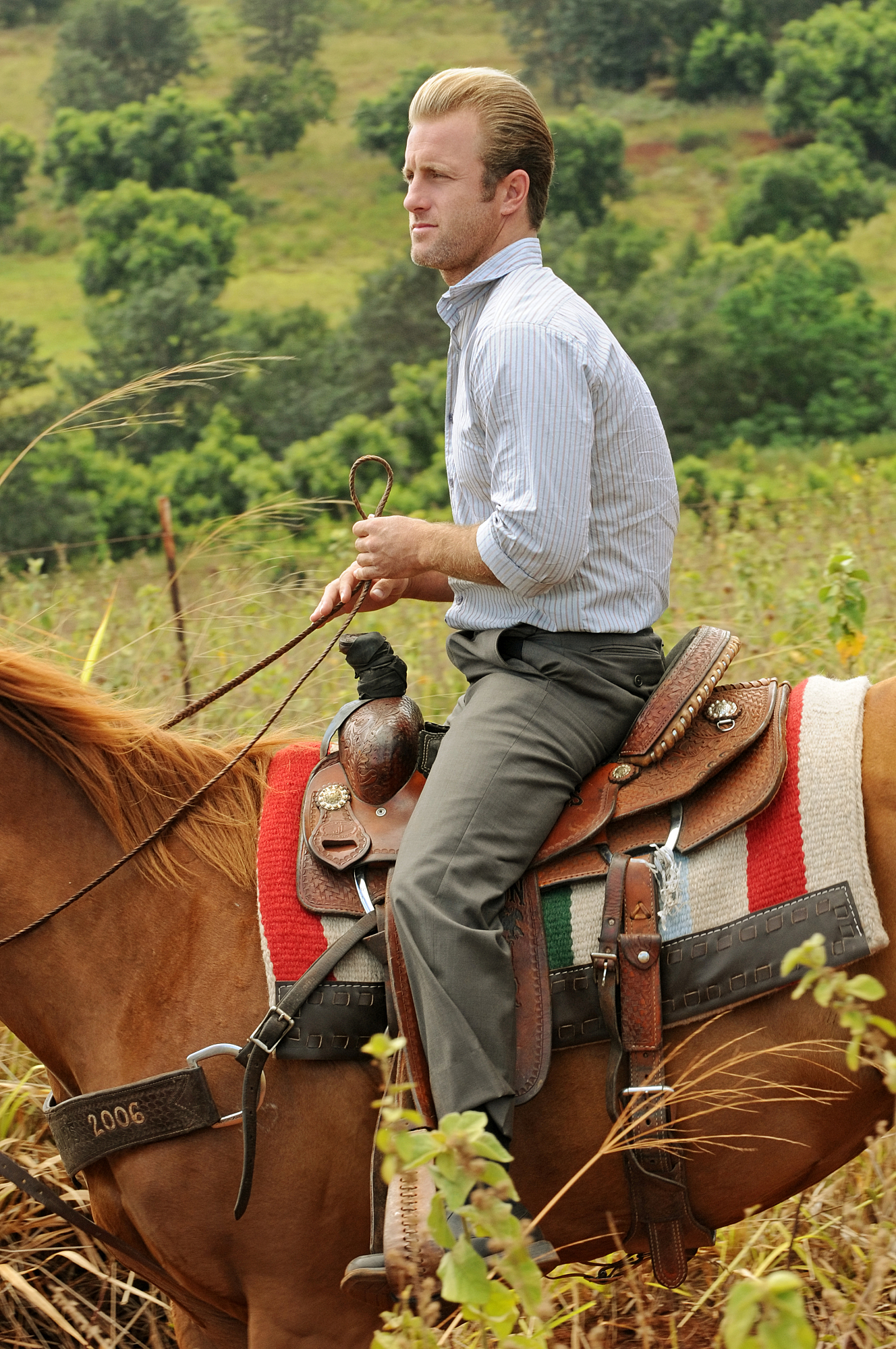 Still of Scott Caan in Hawaii Five-0 (2010)