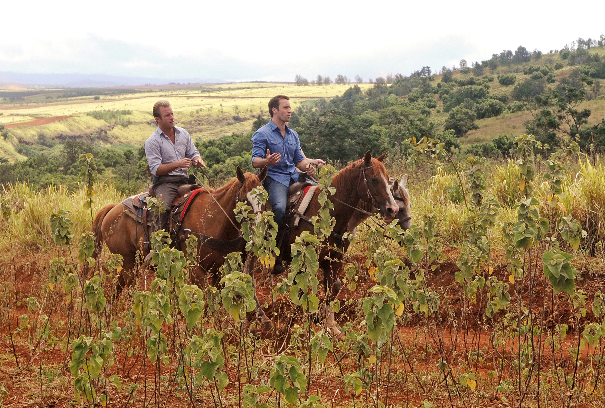 Still of Scott Caan and Alex O'Loughlin in Hawaii Five-0 (2010)