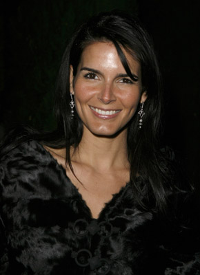 Angie Harmon