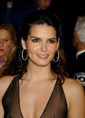 Angie Harmon