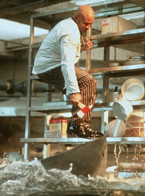 Still of LL Cool J in Deep Blue Sea (1999)