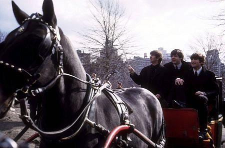 The Beatles ( Ringo Starr, Paul McCartney, John Lennon on a horse carriage ride)