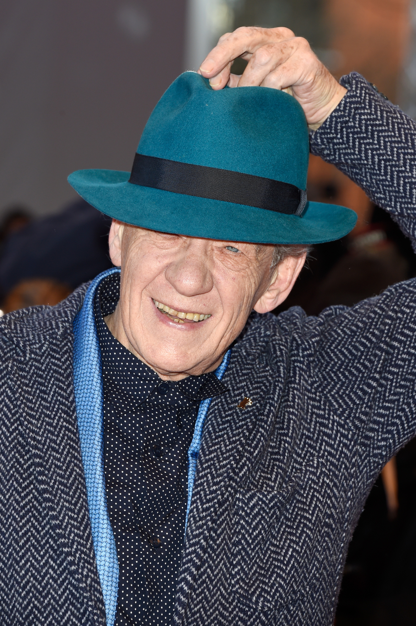Ian McKellen at event of Mr. Holmes (2015)