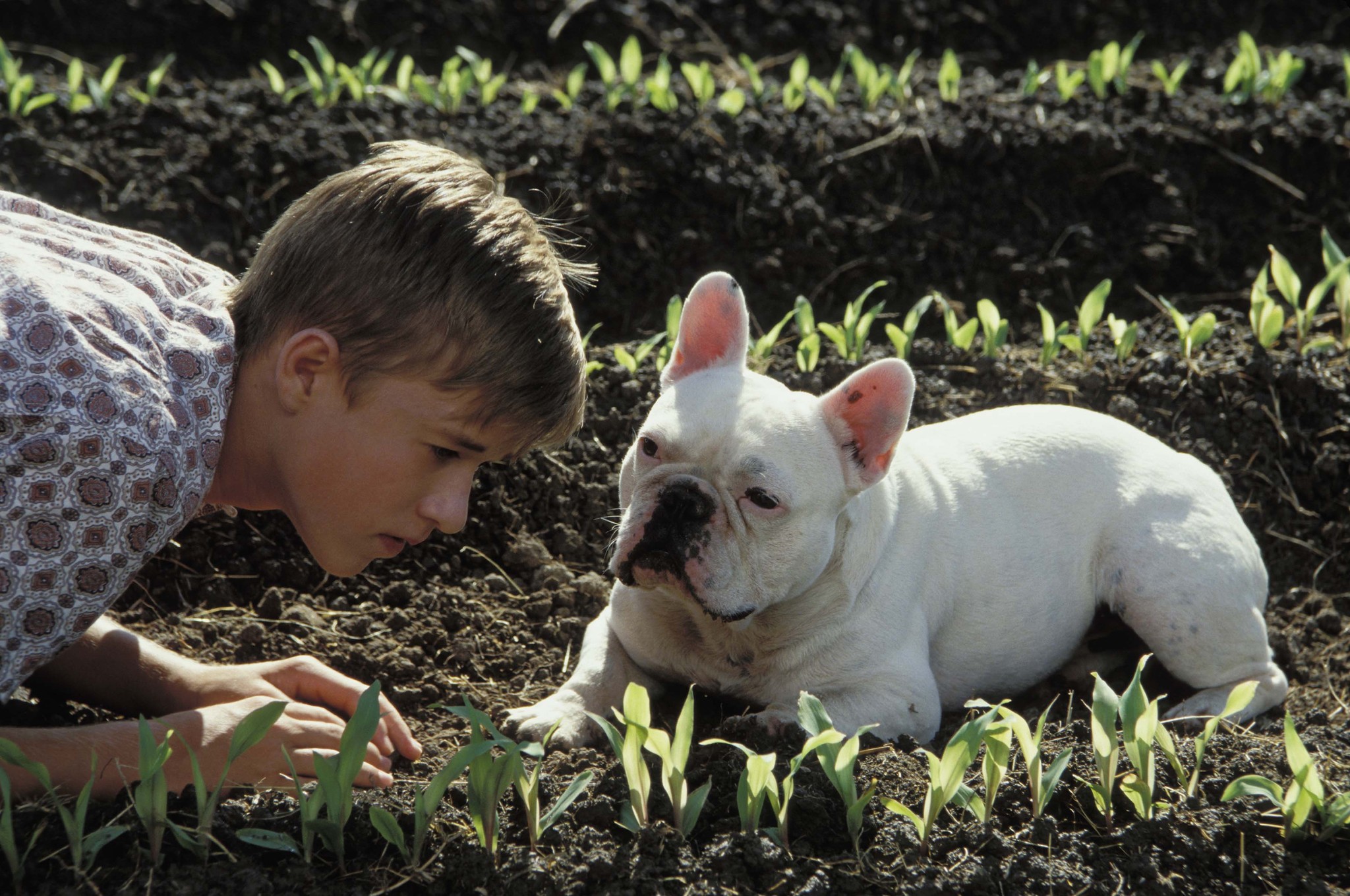 Still of Haley Joel Osment in Secondhand Lions (2003)