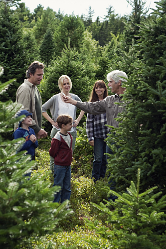 Still of Sam Elliott, Sarah Paulson and Emily Alyn Lind in November Christmas (2010)