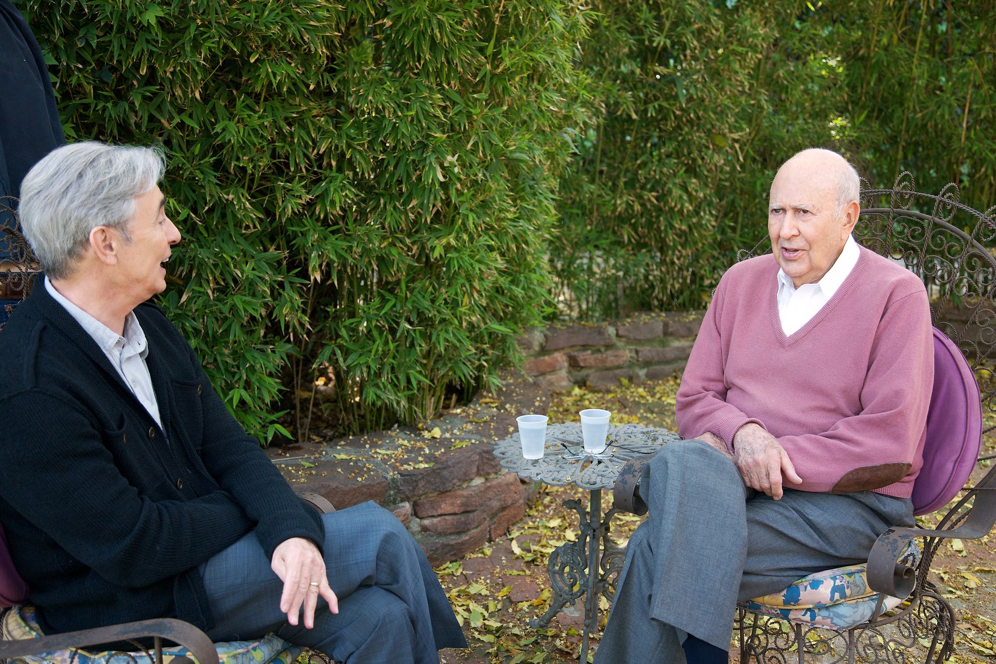 Still of Carl Reiner and David Steinberg in Inside Comedy (2012)
