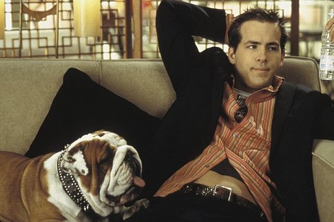 Still of Ryan Reynolds in Van Wilder (2002)