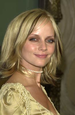 Marley Shelton at event of Bubble Boy (2001)