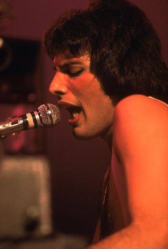 Queen's Freddie Mercury performing, 1978