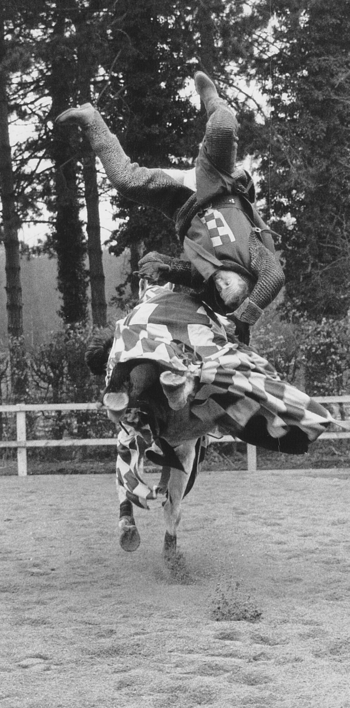 Marc Cass performing a Rear Saddle Fall on the Gallop.