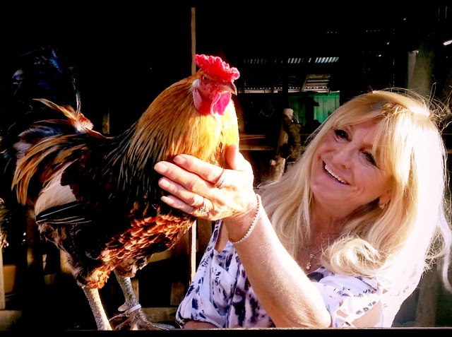 Gloria Winship and Diamond the Rooster for Safeway/Vons Commercial