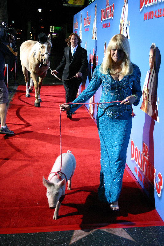 Gloria Winship Animal Actors / Sweet Sunshine Walking the Red Carpet for 