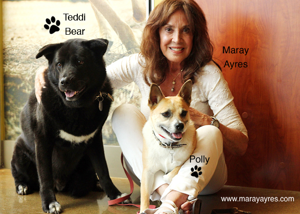 Maray Ayres Professional Dog Trainer