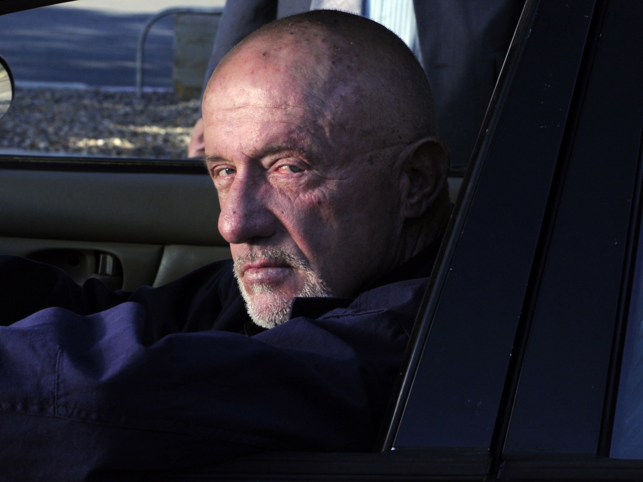 Still of Jonathan Banks and Ursula Coyote in Brestantis blogis (2008)