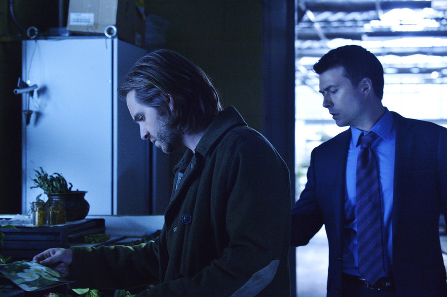 Still of Noah Bean in 12 Monkeys (2015)