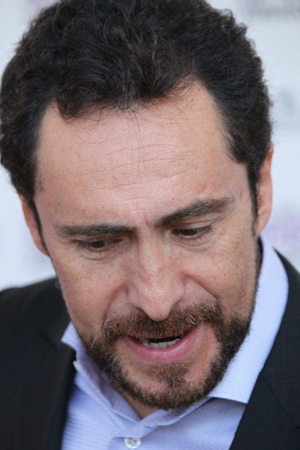 Demian Bichir