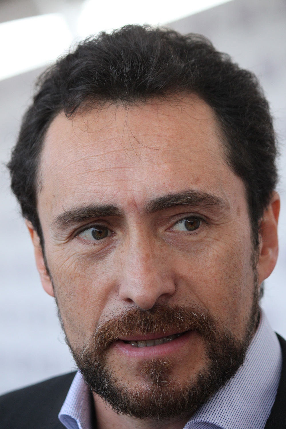 Demian Bichir