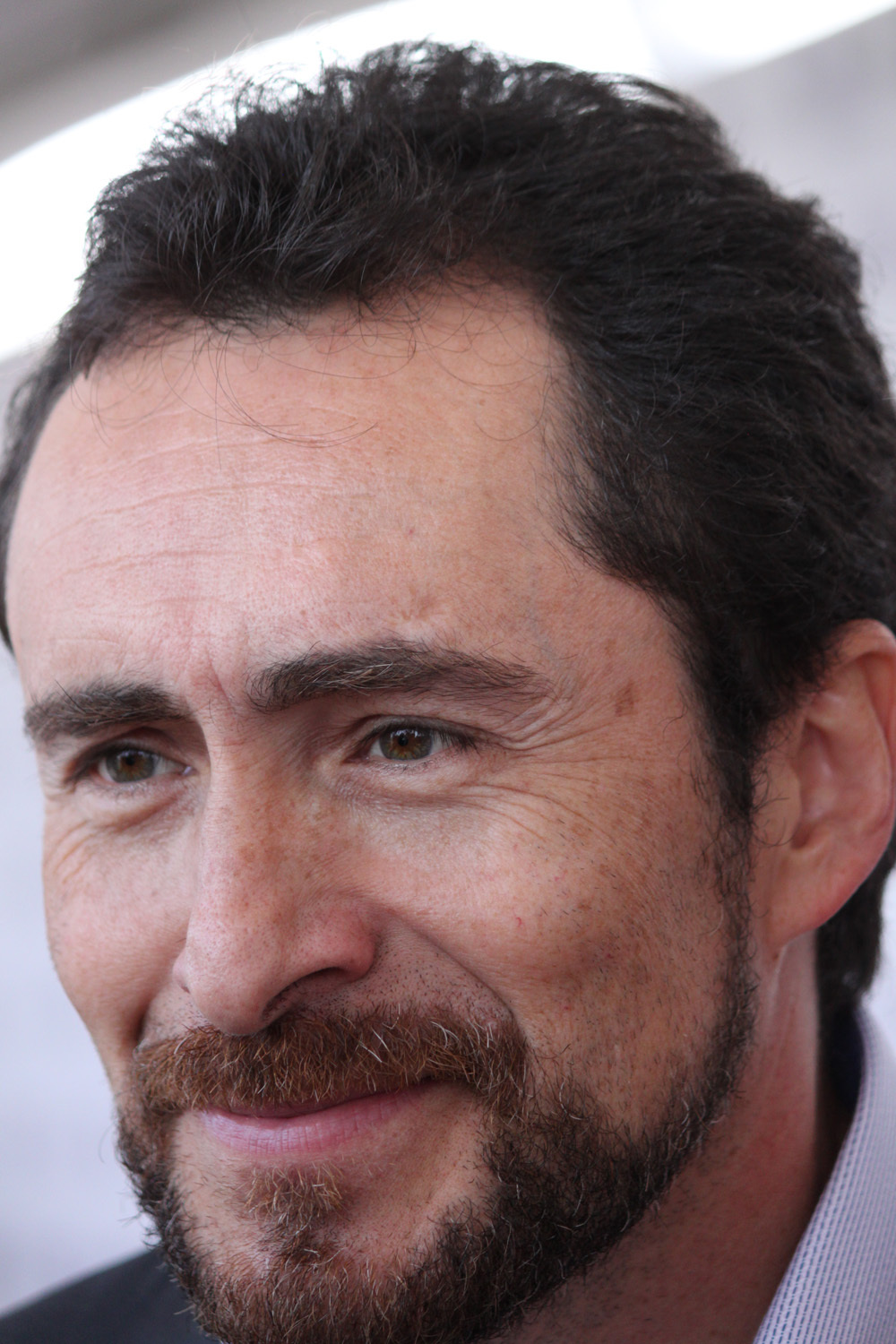 Demian Bichir