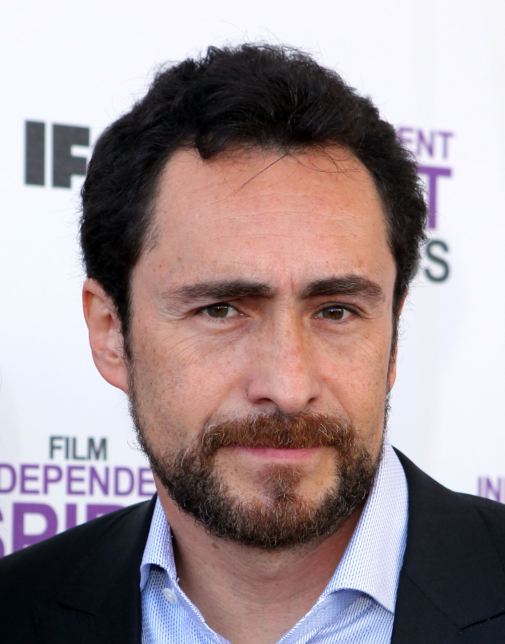 Demian Bichir