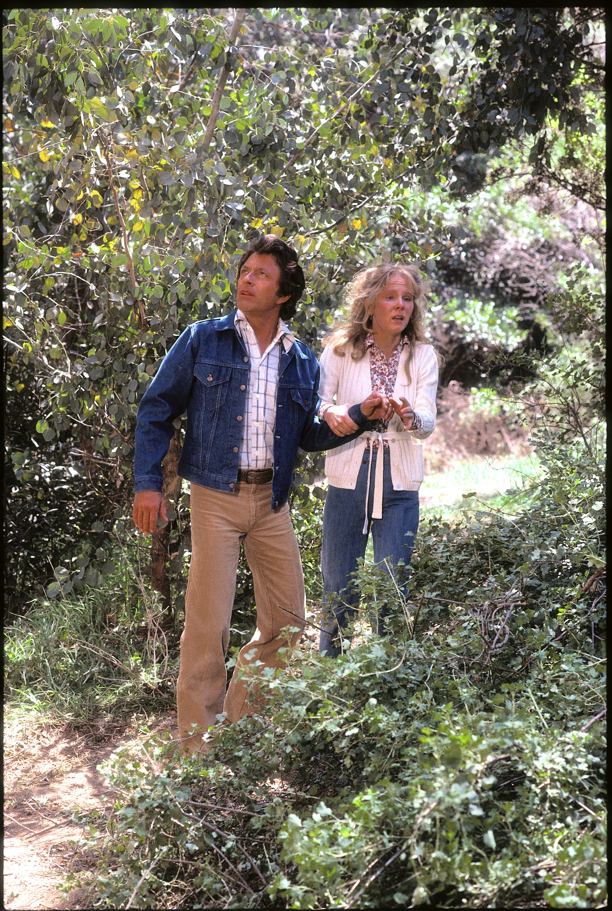 Still of Bill Bixby and Laurie Prange in The Incredible Hulk (1978)