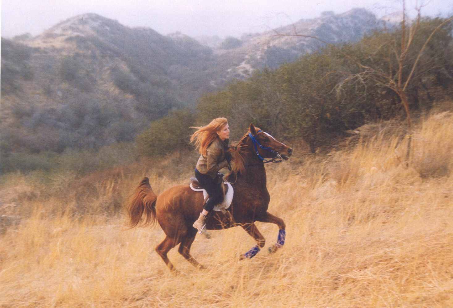 Sunland Endurance Race with Starfire. Just two months before this shot, Starfire was headed to slaughter for being dangerous from abuse. He is one of the loves of Megan's life.