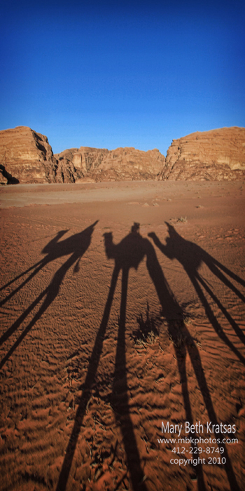 Camel Shadows in Wadi Rum
