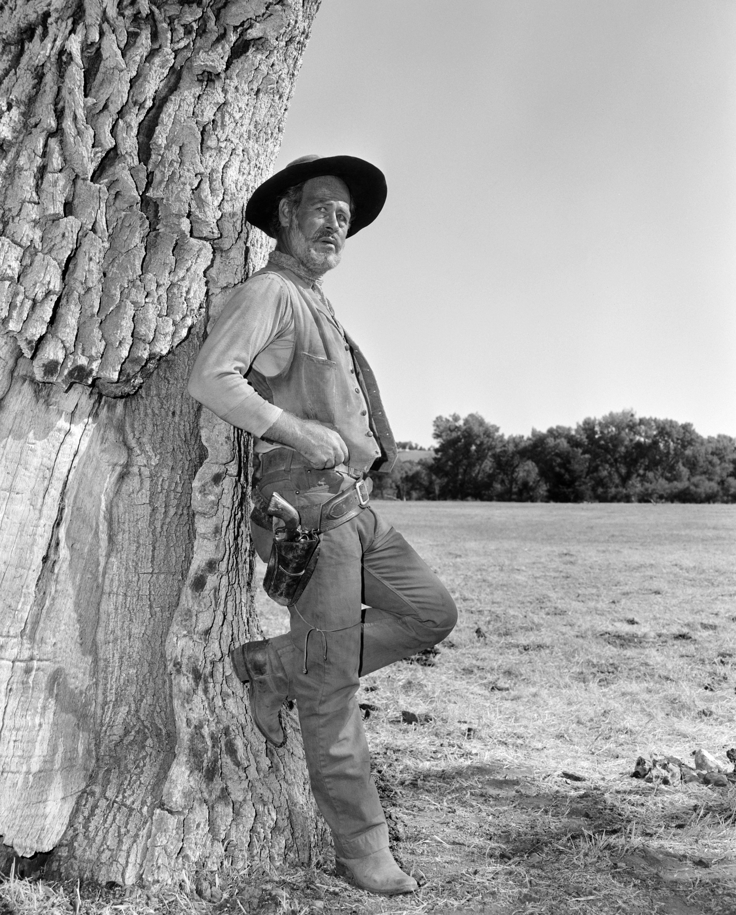 Still of Paul Brinegar in Rawhide (1959)