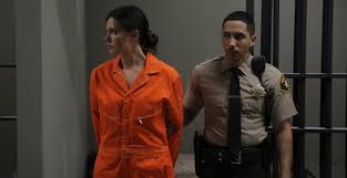 Lifetime movie Bad Blood with Taylor Cole and Neil Brown Jr.