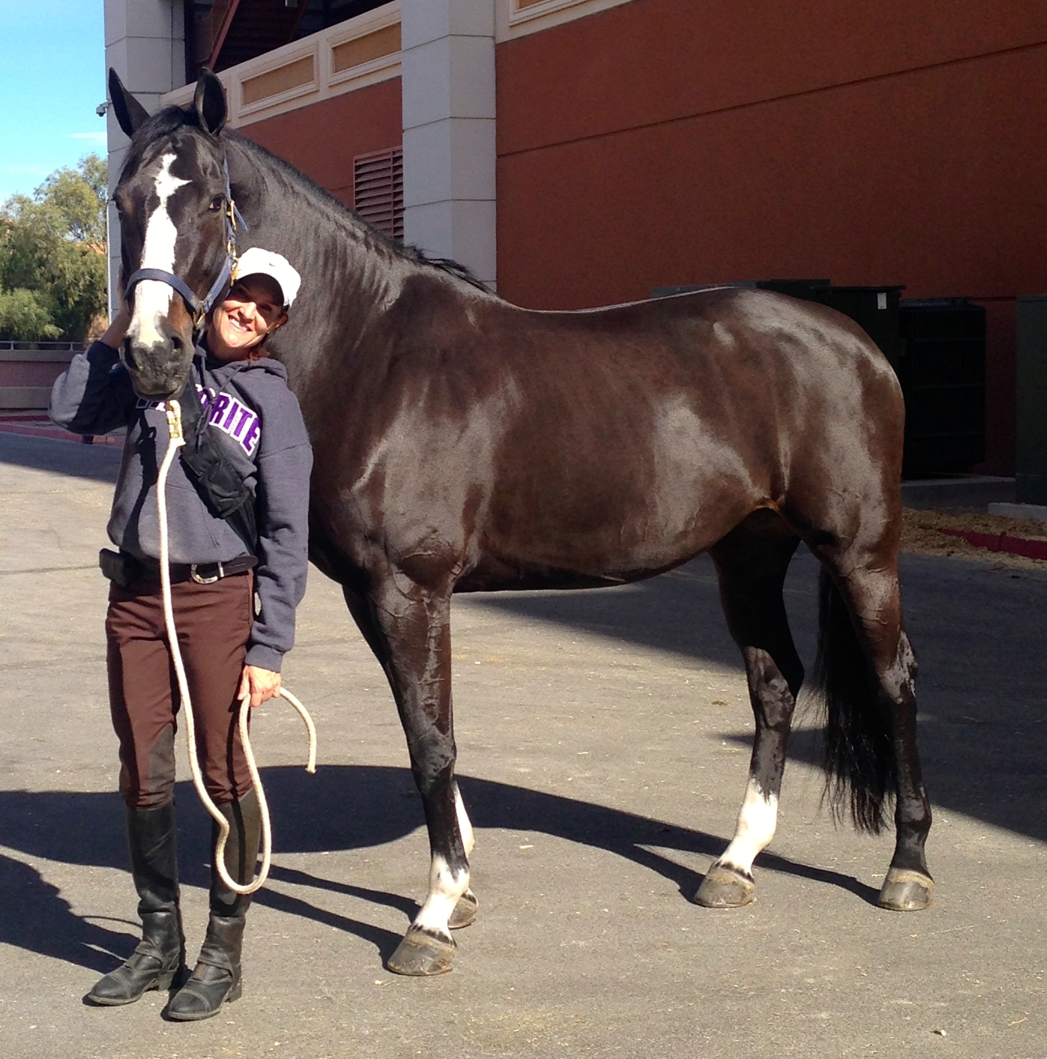 With Favorite Hof Ter Zeedycke, my Belgian Warmblood mare