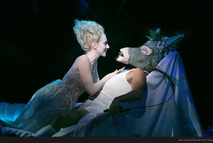 A MIDSUMMER NIGHT'S DREAM (2013) Theatre For A New Audience Brooklyn, NY dir. Julie Taymor