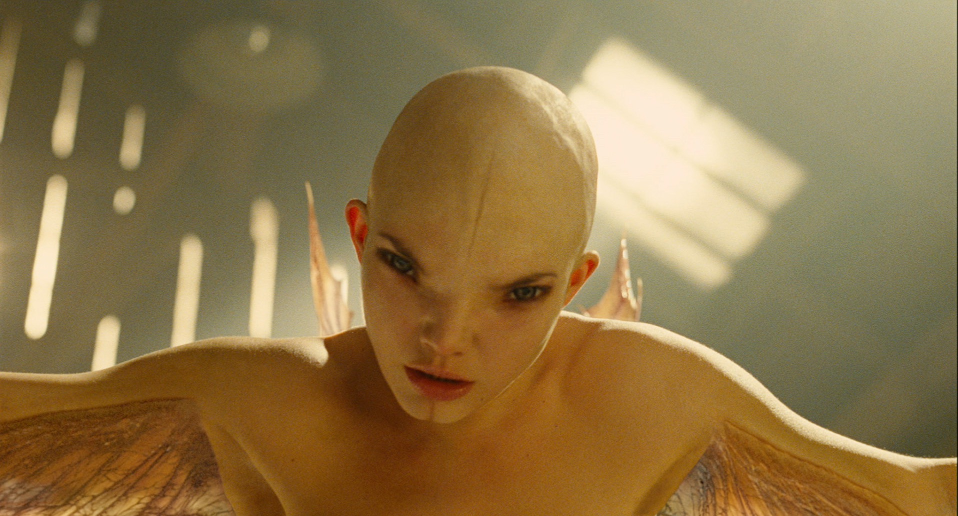 Still of Delphine Chanéac in Splice (2009)