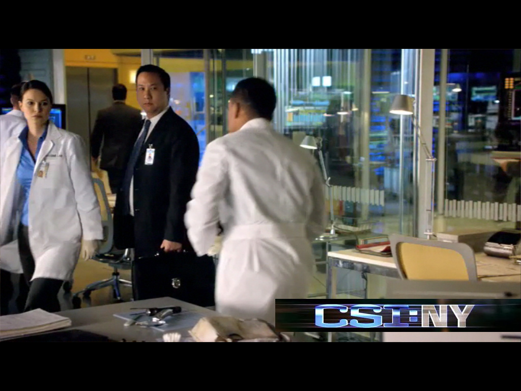 CSI: NY (L to R): Holly Westenfeldt, Christopher Chen (as 