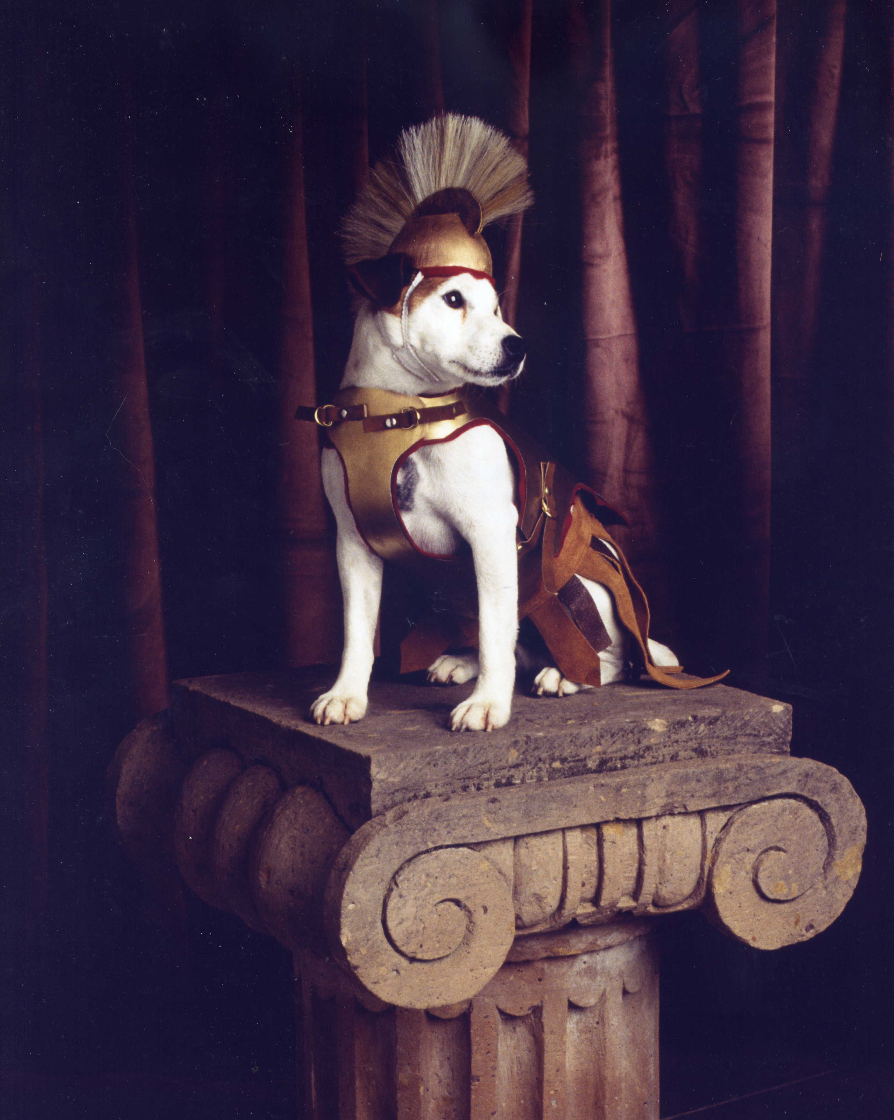 Wishbone as Odysseus