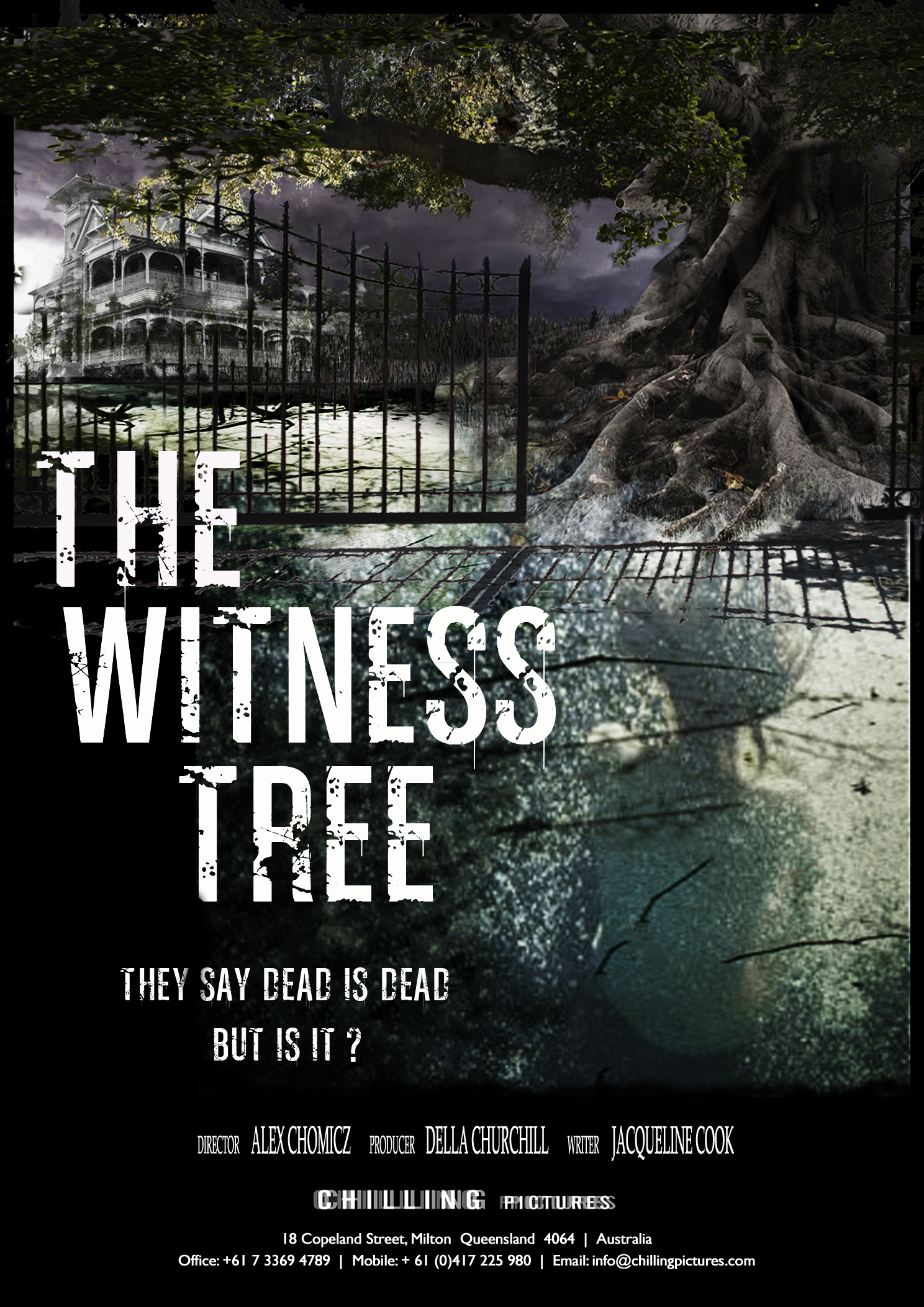 Packaging Now The Witness Tree Poster May 2011