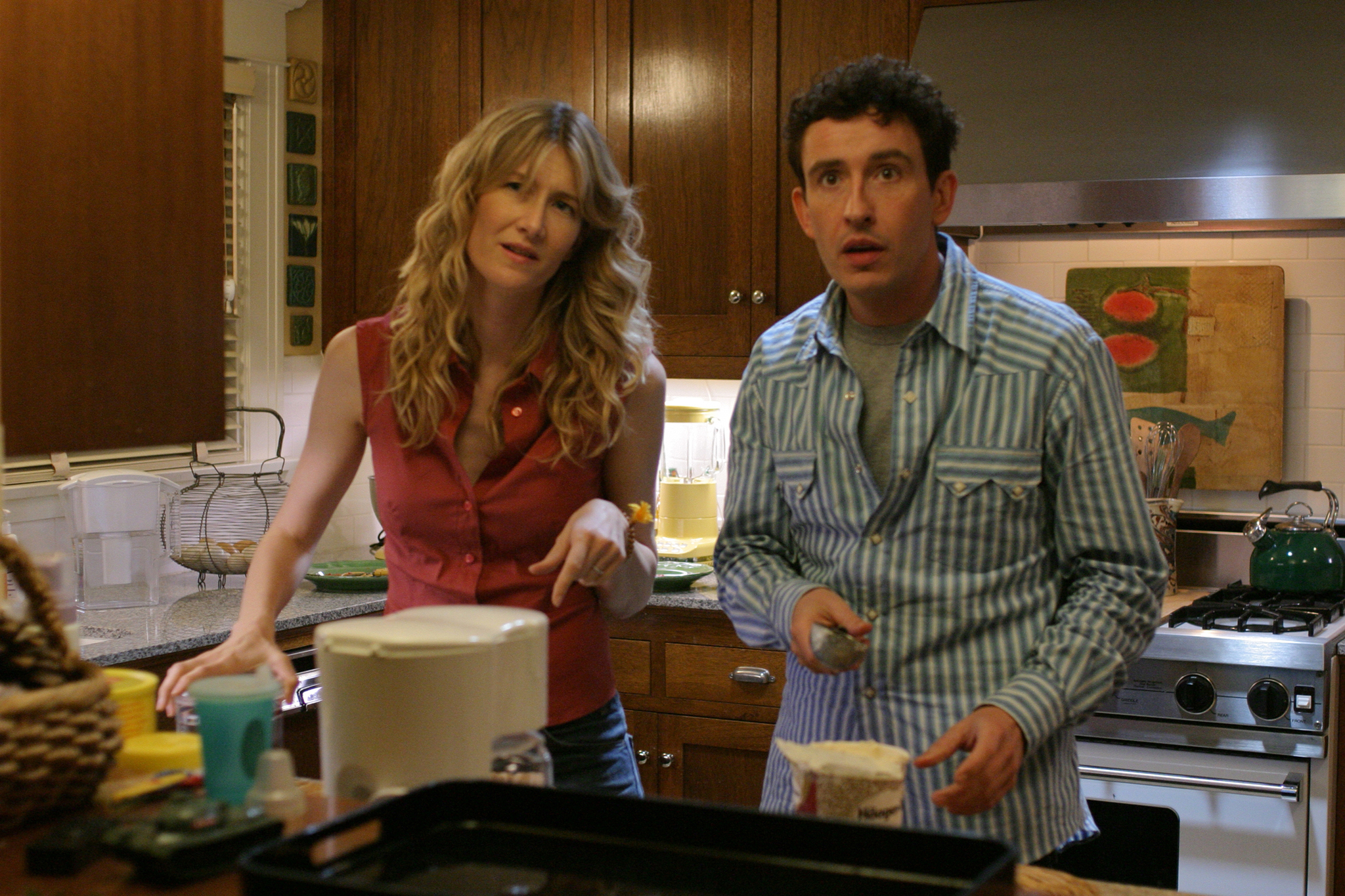 Still of Laura Dern and Steve Coogan in Happy Endings (2005)