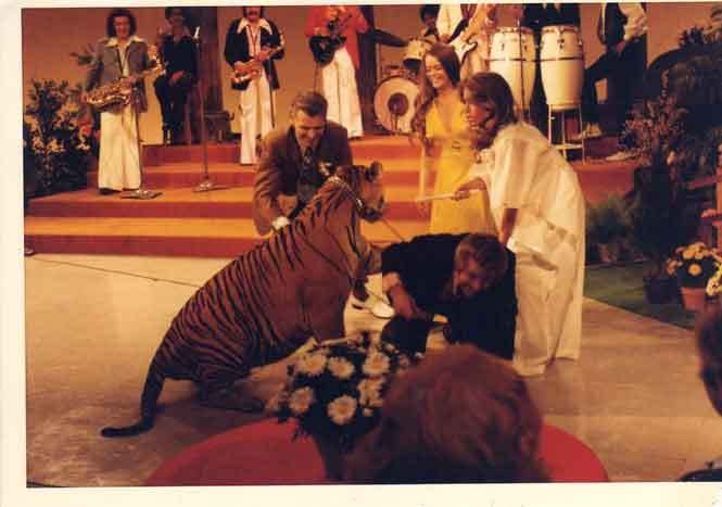 Filming on the Troy Cory Show. I am in the middle, my father kneeling down, was nearlt attacked by this Tiger, he wasn't supposed to tease him and he did!