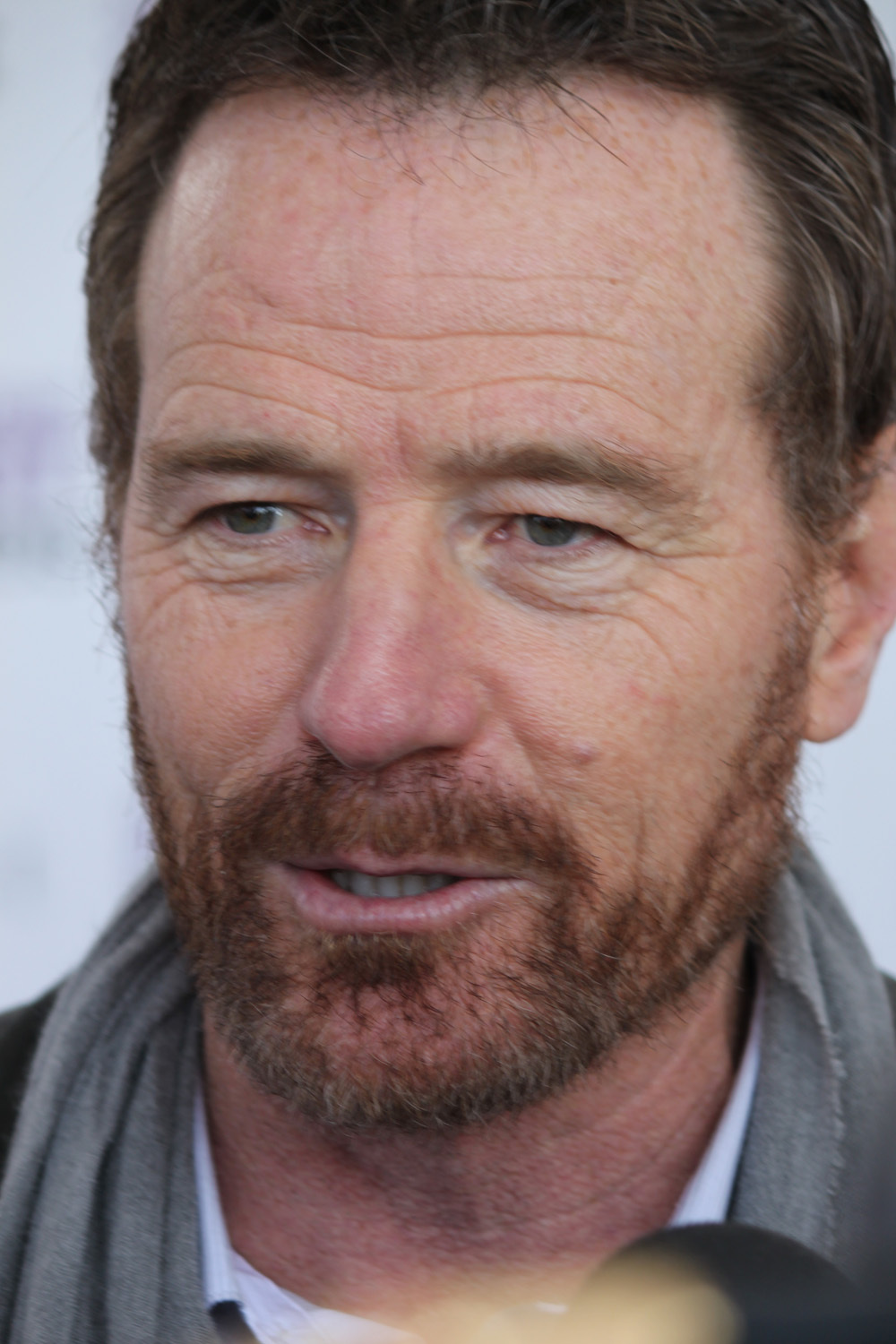 Bryan Cranston