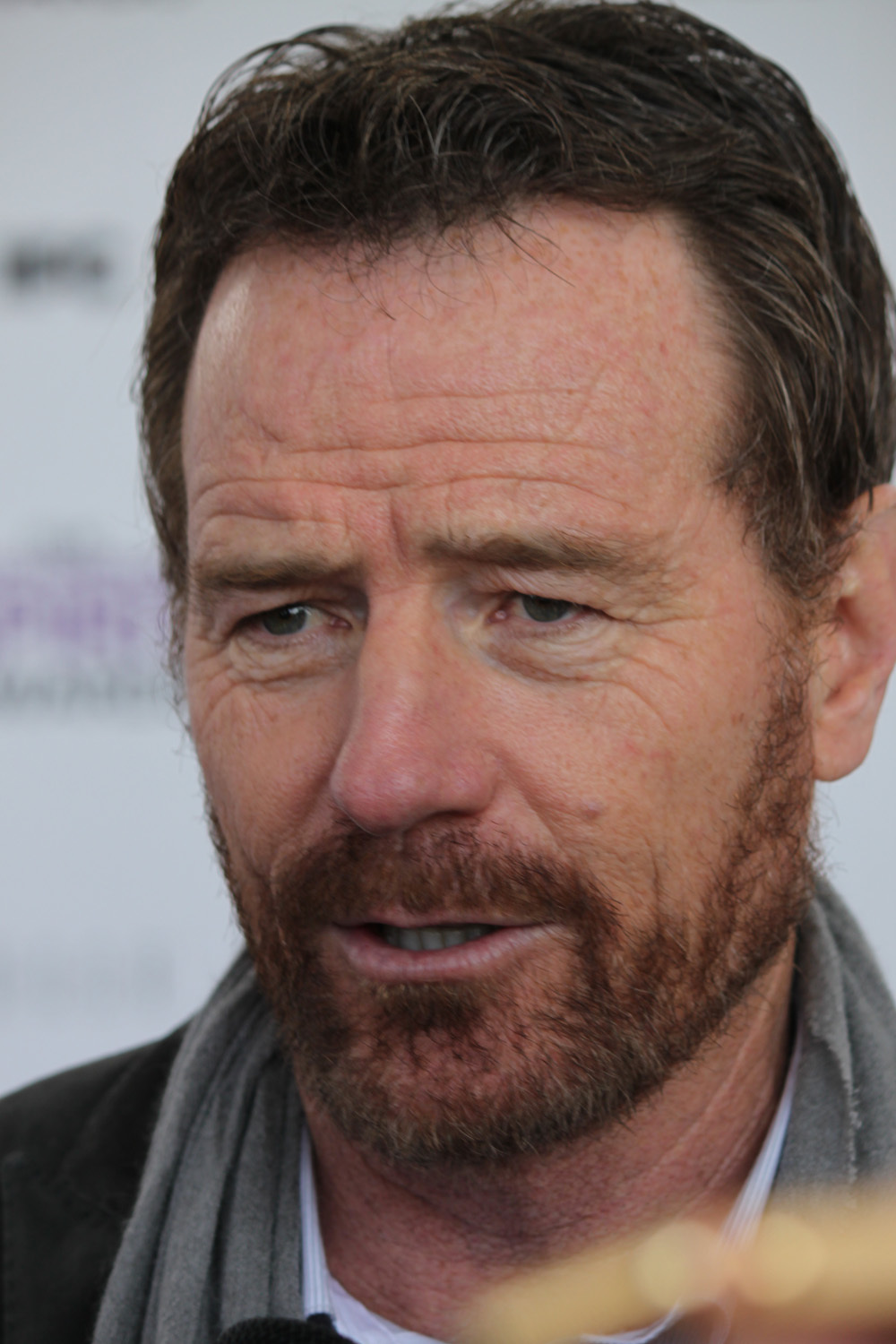 Bryan Cranston