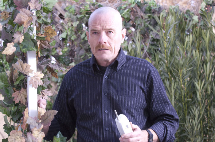 Still of Bryan Cranston in Brestantis blogis (2008)