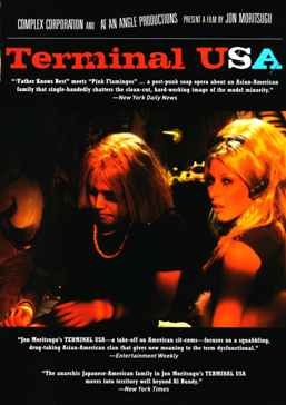 TERMINAL USA dvd cover